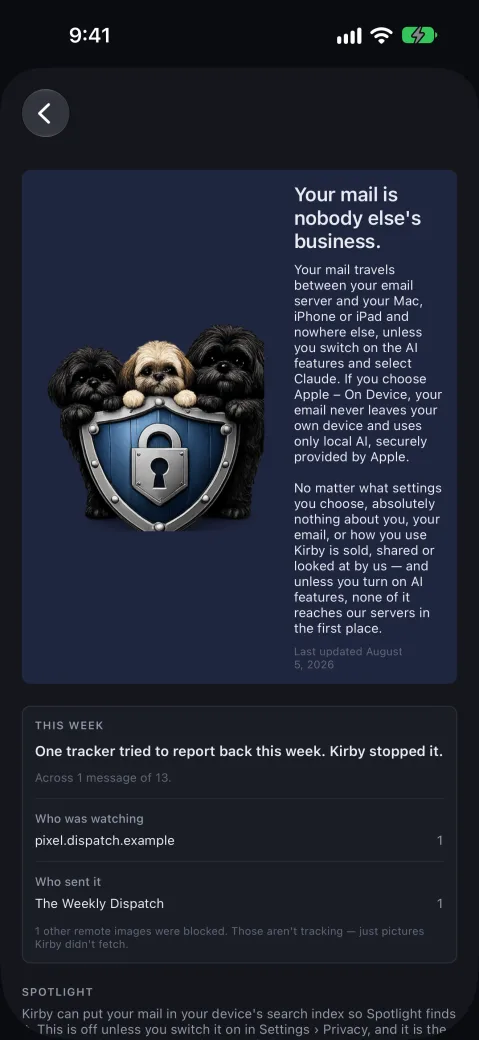iPhone screenshot of Kirby, showing the privacy report